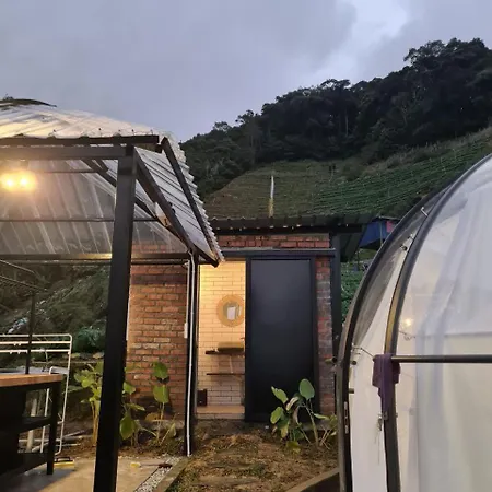 A'Moss Farmstay Cameron Highlands Exterior photo