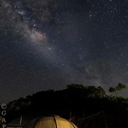 A'Moss Farmstay Cameron Highlands Exterior photo