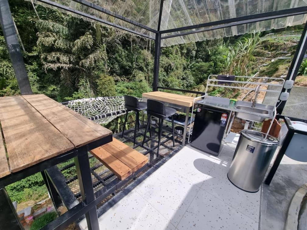 Campsite A'moss Cameron Highlands