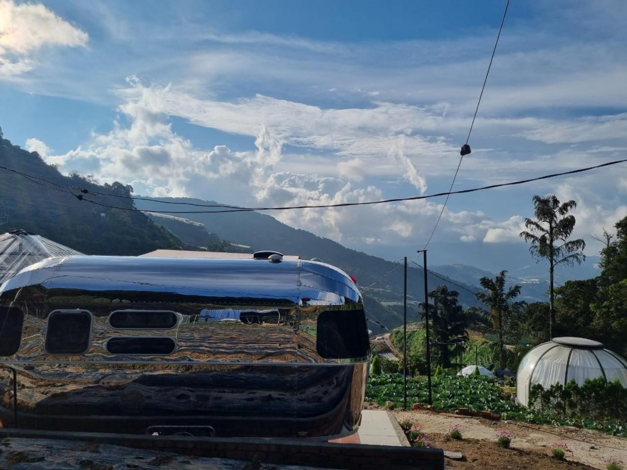 A'moss Cameron Highlands