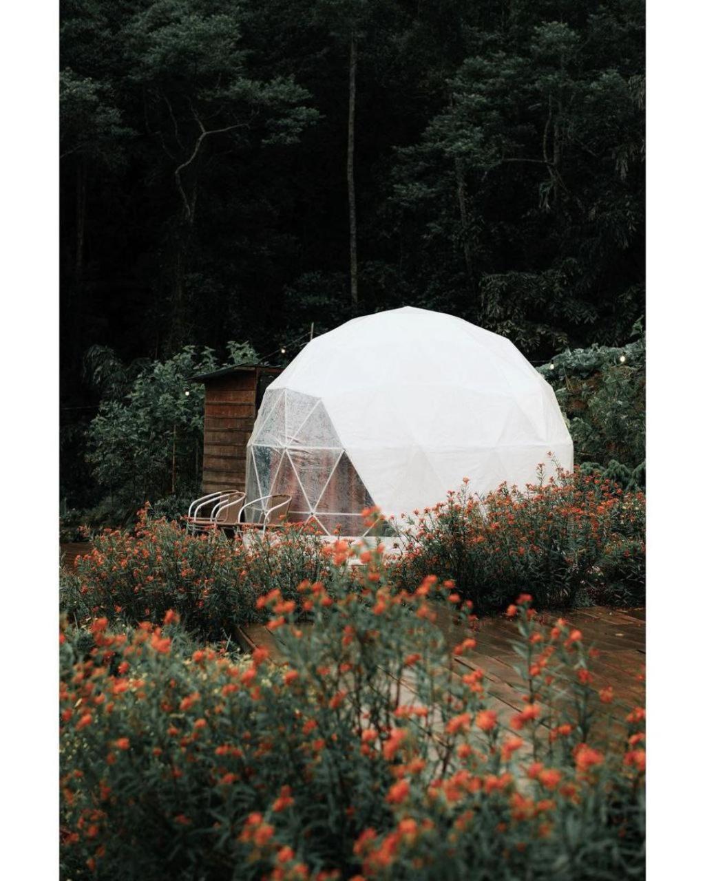 A'moss 3* Cameron Highlands