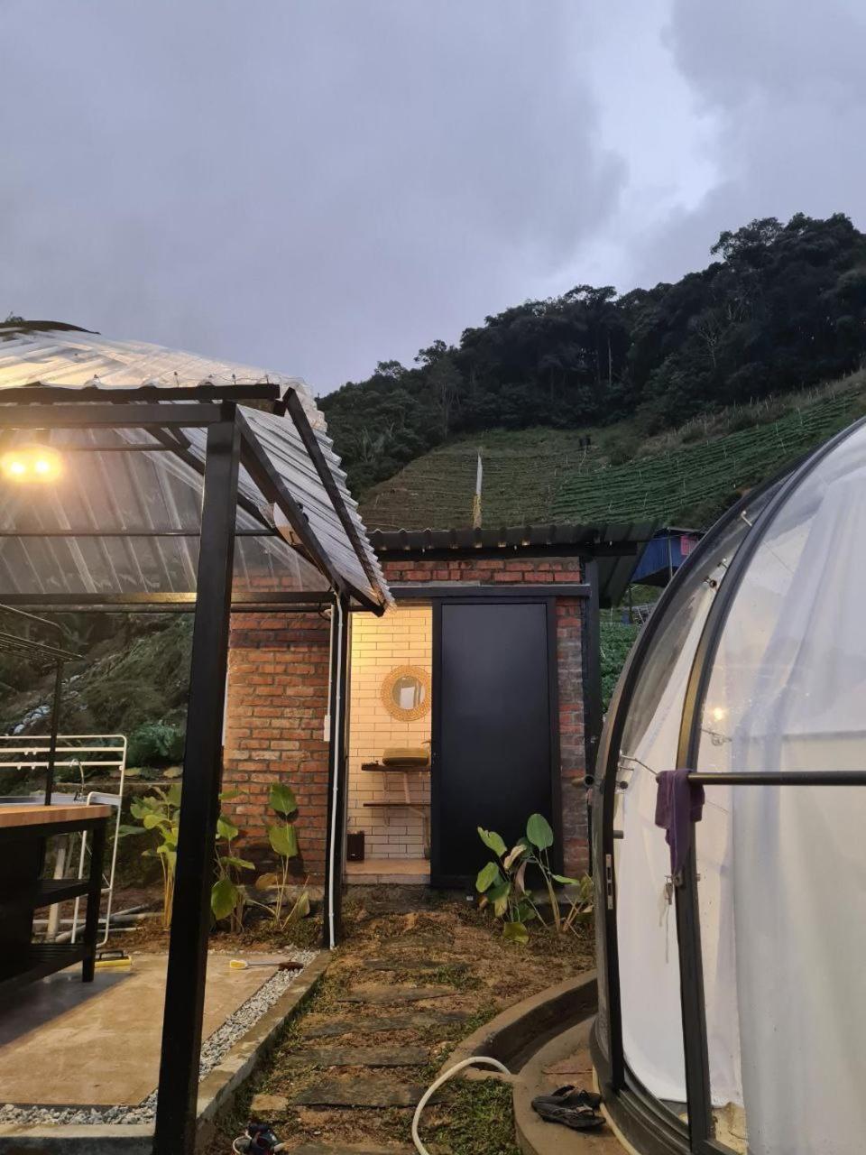 A'moss Campsite Cameron Highlands
