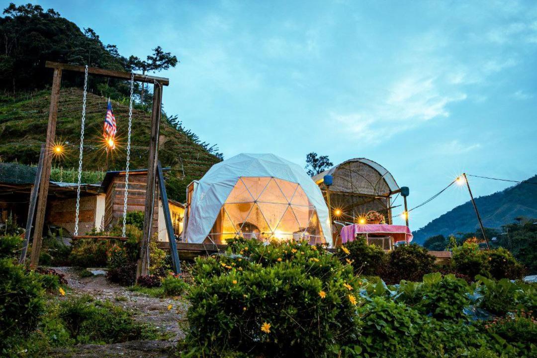 A'moss Campsite 3*