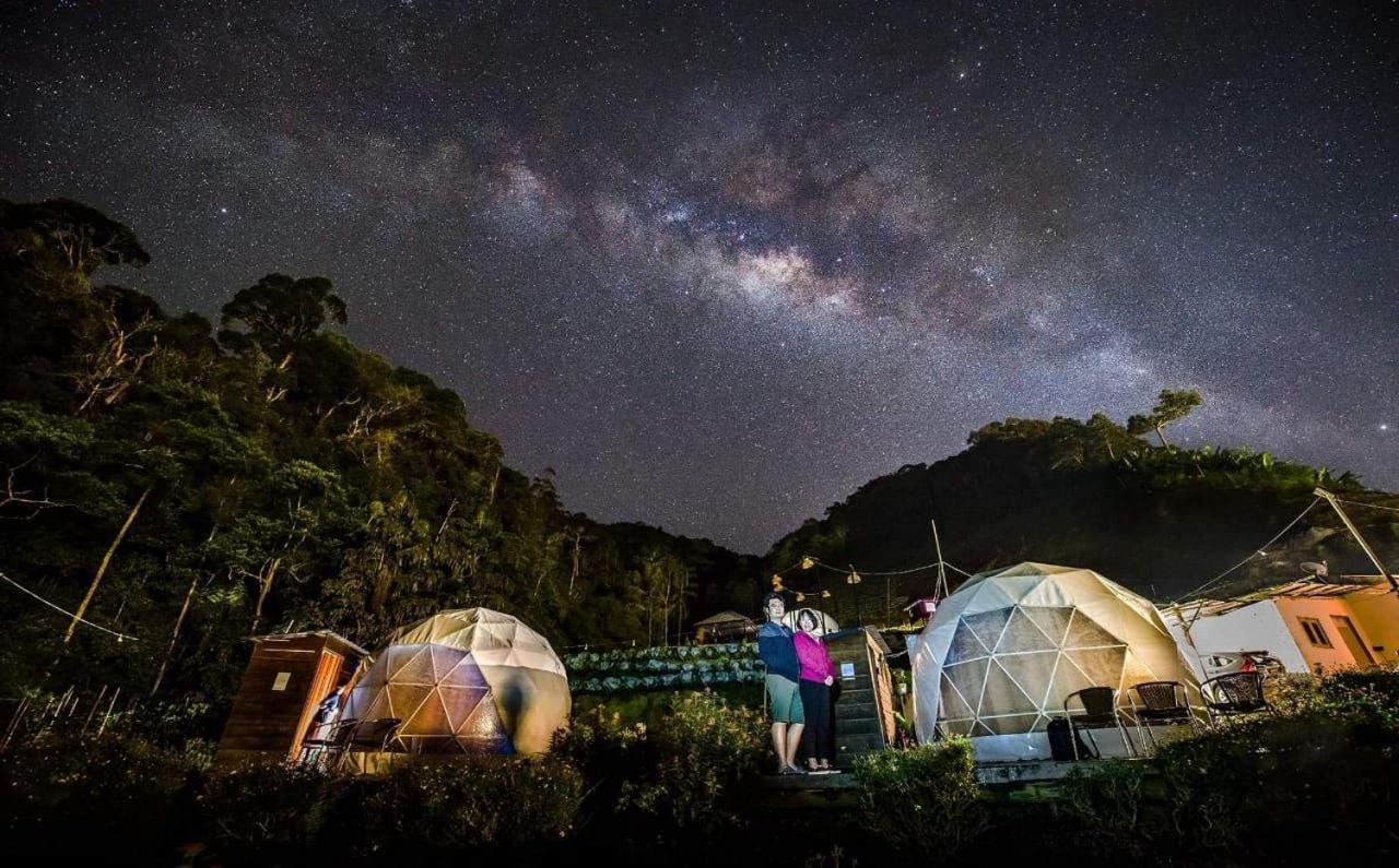 Campsite A'moss 3*