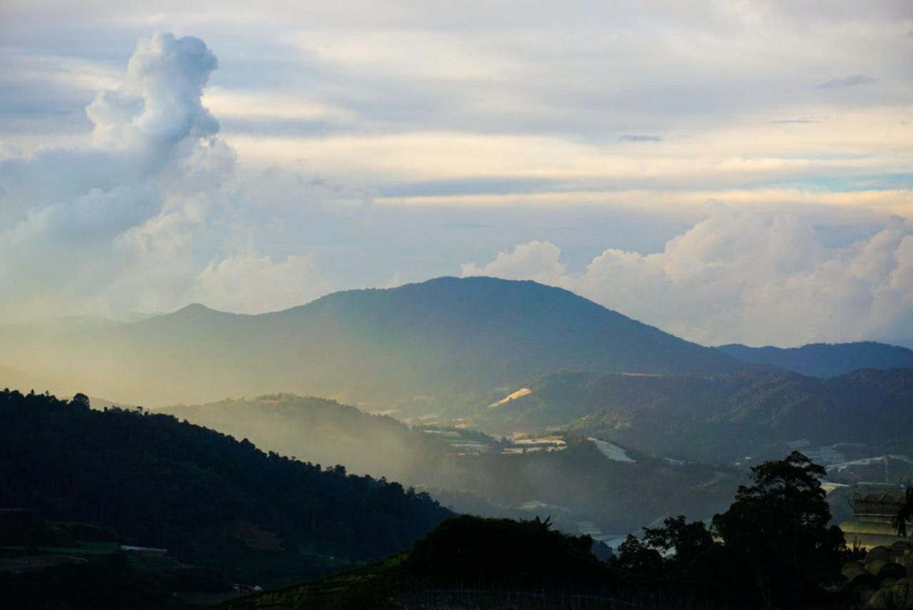 Campsite A'moss Cameron Highlands