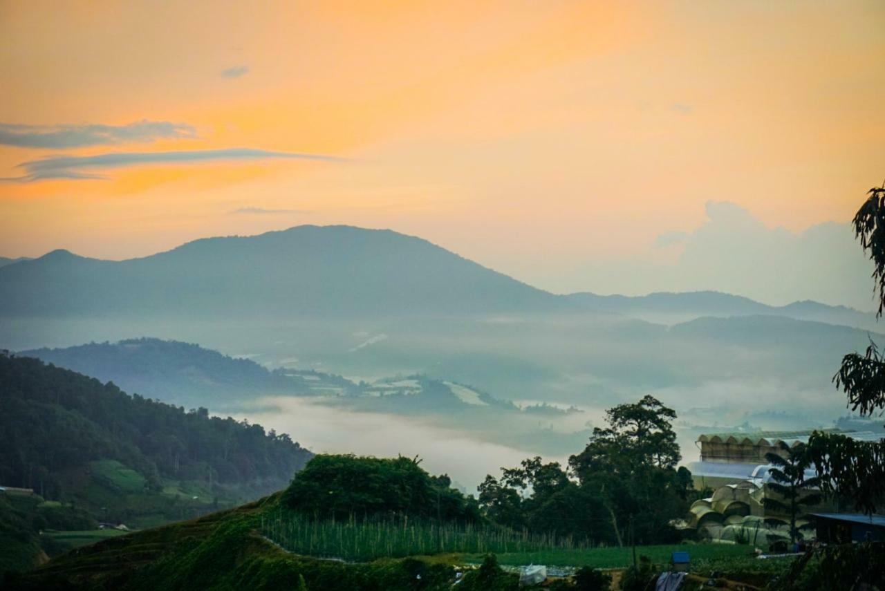 A'moss 3* Cameron Highlands